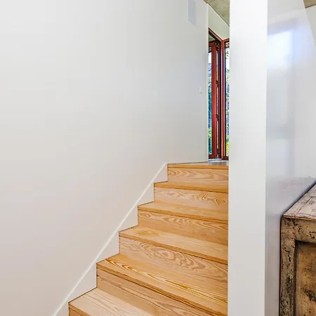 Jungle Lofts Apartment
