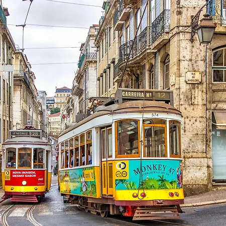Appartement Jungle Lofts Lisboa