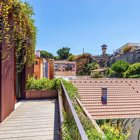Apartamento Jungle Lofts