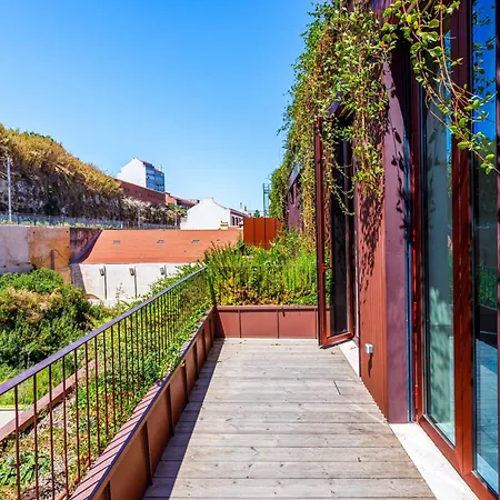 Apartamento Jungle Lofts *